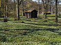 Stadsparken vår1